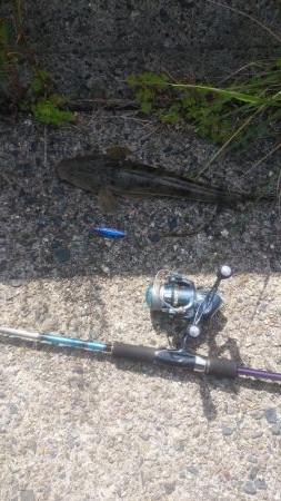 マゴチ＆エギング