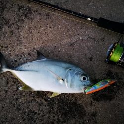 メッキ三種盛り