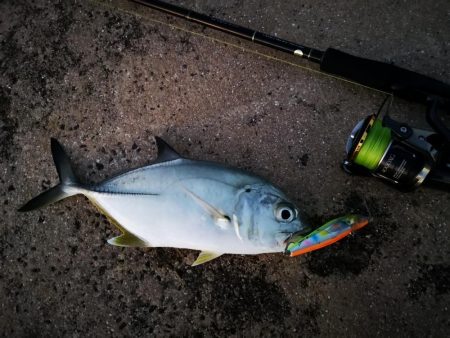 メッキ三種盛り