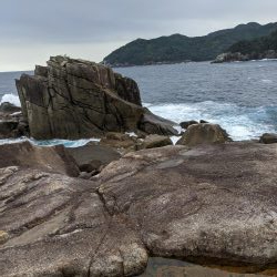 ショアジギ釣果