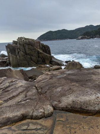 ショアジギ釣果