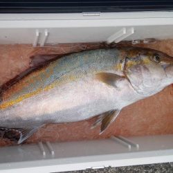 康仁丸・ジギング釣り果