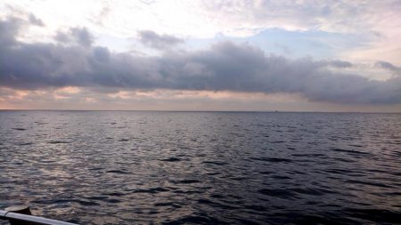 サビキのみの釣果となりました