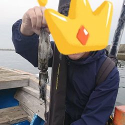 須磨一文字でショアジギング