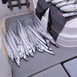 遊漁船SOUTH　10/22釣果