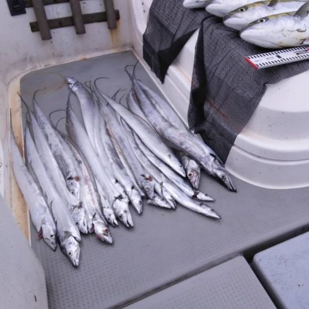 遊漁船SOUTH　10/22釣果