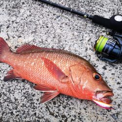 ベイトにベストマッチ