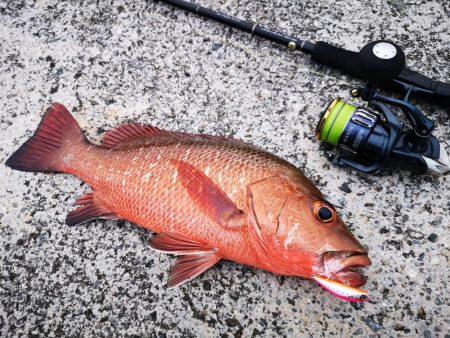 ベイトにベストマッチ