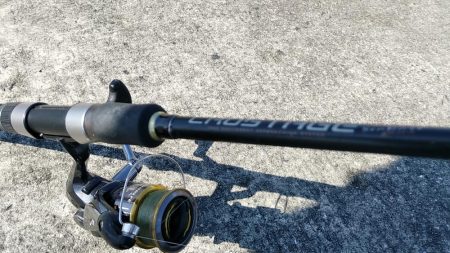 鱚釣りのつもりが