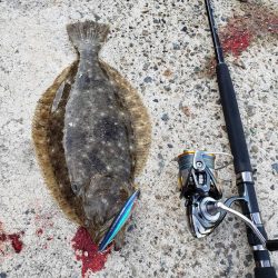 メジロサイズは出なかった( ノД`)…