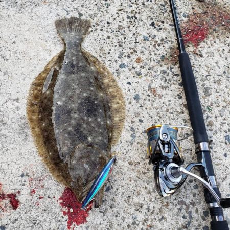 メジロサイズは出なかった( ノД`)…