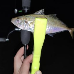 仕事終わりナイトアジング