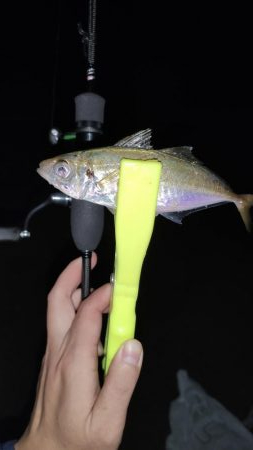 仕事終わりナイトアジング