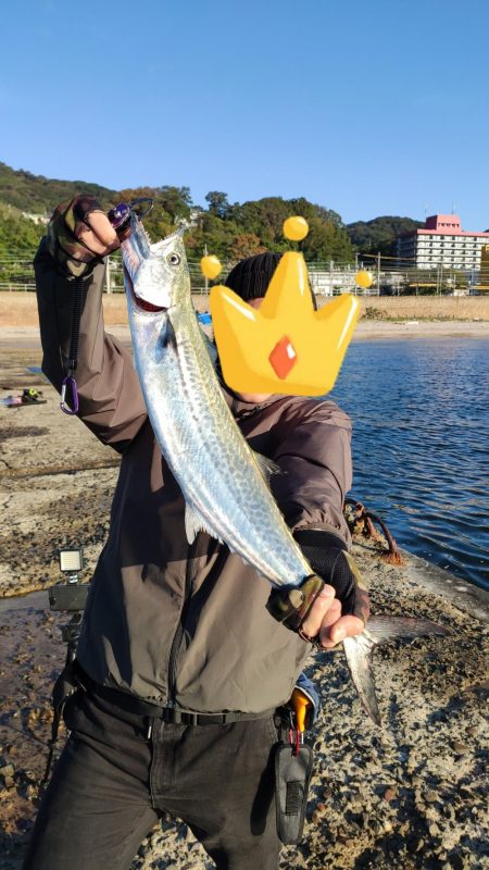 アジングのアジを飲ませて釣る！！