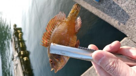 西国回りの序でに