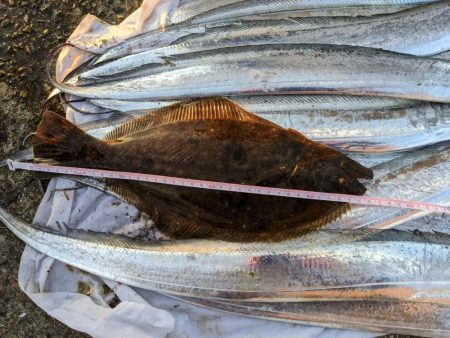 タチウオ夜釣り釣行