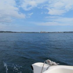 友人操舵のボート釣りは楽しかった!