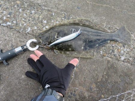 なんとヒラメをゲット！