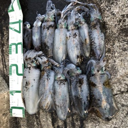 2020 佐渡ヶ島エギング 28回目