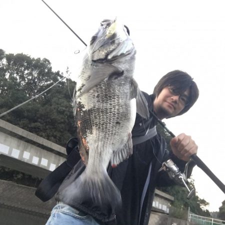 スライドフォールでチヌヒット!