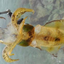 デイ調査～✌️