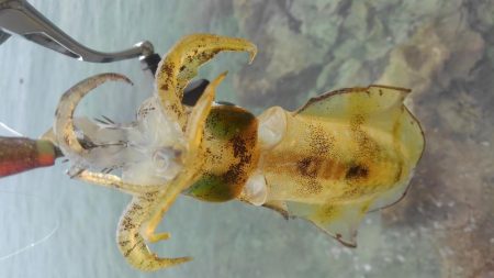 デイ調査～✌️