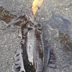 ポイント変えて?