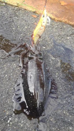 ポイント変えて?