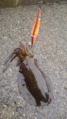 出だしは、良かったんだけど？