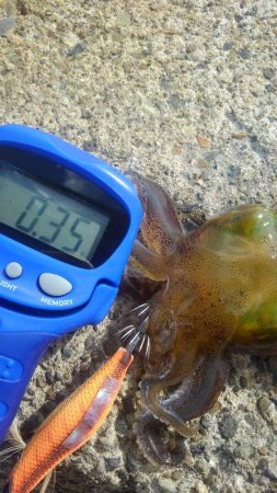 やっと、今秋初300gアップ～✌️