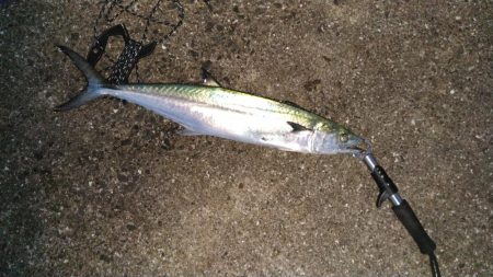 悔しい一本！！