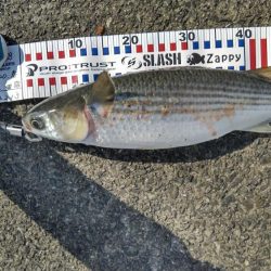 いつもの悪クセ(ToT)