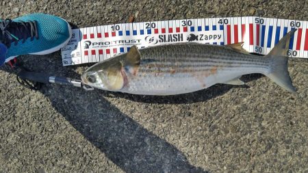 いつもの悪クセ(ToT)