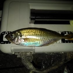 フロートゲーム