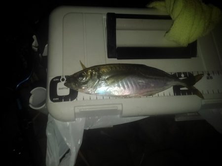 フロートゲーム