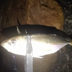 フロートゲーム