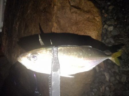 フロートゲーム