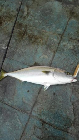 大満足！粘り勝ち！