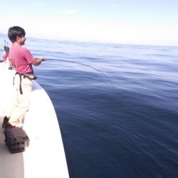 遊漁船SOUTH 10/2釣果