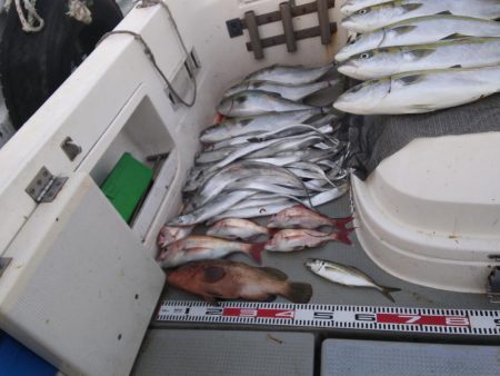 大阪湾 遊漁船SOUTH釣果