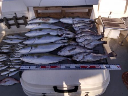 遊漁船SOUTH　10/14釣果