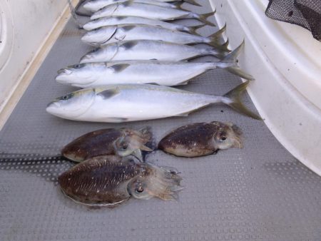 遊漁船SOUTH10/27釣果