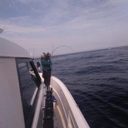 遊漁船SOUTH10/28釣果