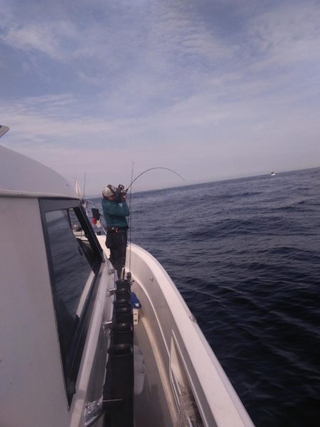 遊漁船SOUTH10/28釣果