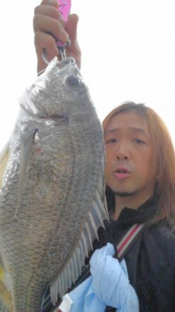 黄色いのよ、キビレちゃん、黄色いのよ