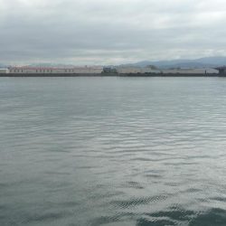 久しぶりのLSJするも不発;;