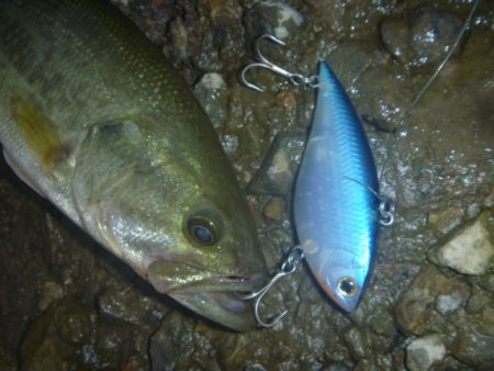 バイブレーション