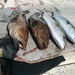 大物釣果速報！●光義丸：平戸市早福港