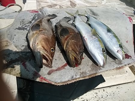 大物釣果速報！●光義丸：平戸市早福港