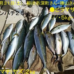 大物釣果速報！●光義丸：平戸市早福港